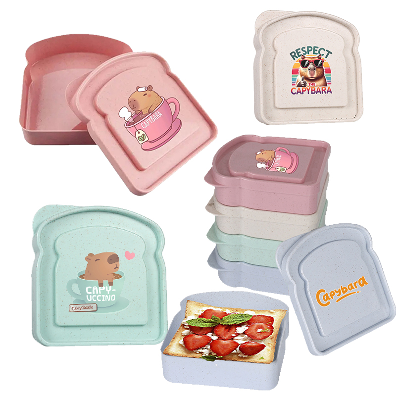 Salad Container Jar - 카피바라 샌드위치 음식 보관 케이스 컨테이너