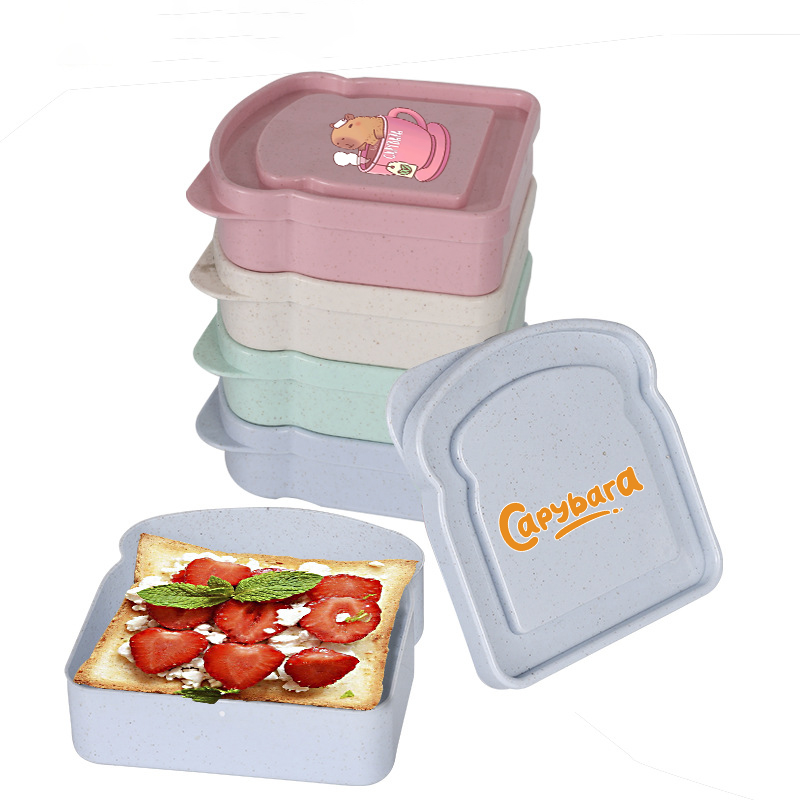 카피바라 샌드위치 음식 보관 케이스 컨테이너 샐러드 과 - Salad Container Jar 리뷰 및 가격