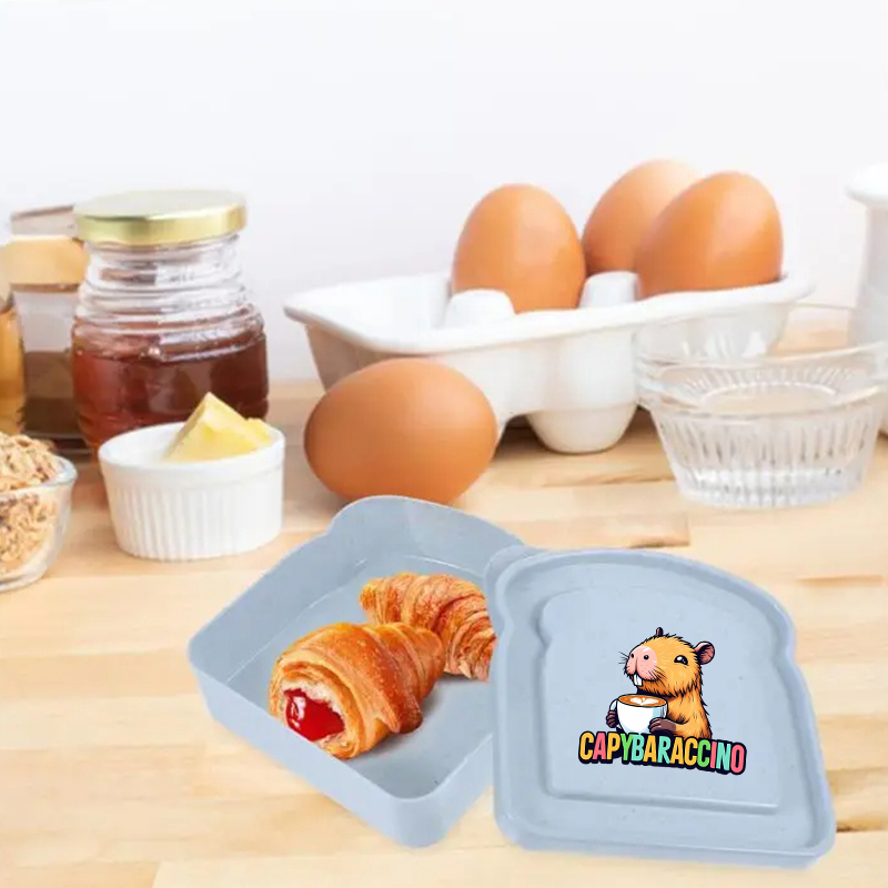 카피바라 샌드위치 음식 보관 케이스 컨테이너 샐러드 과 - Salad Container Jar 리뷰 및 가격
