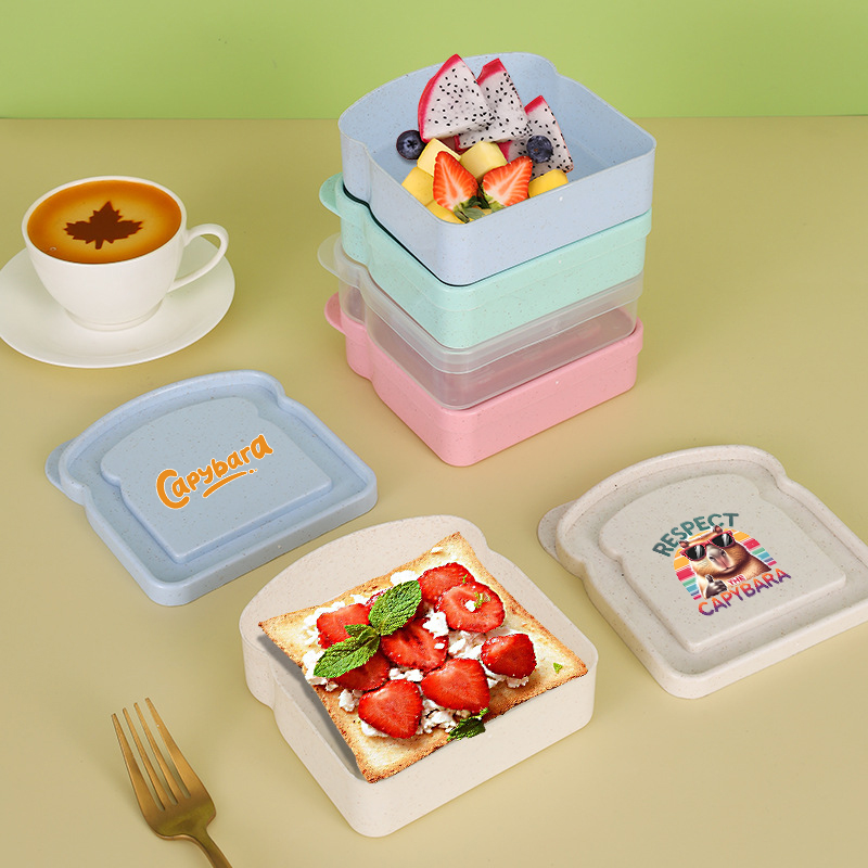 카피바라 샌드위치 음식 보관 케이스 컨테이너 샐러드 과 - Salad Container Jar 리뷰 및 가격